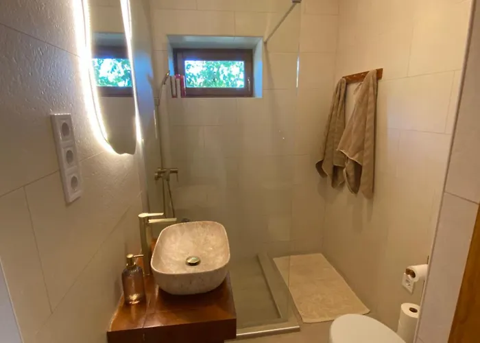 Szaka Kohaz * 巴拉顿菲赖德